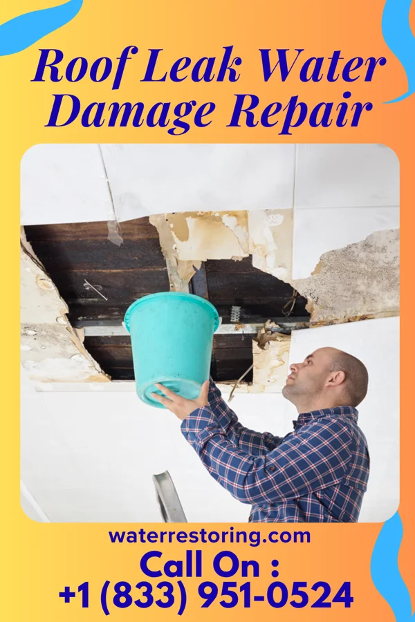 Roof Leak Water Damage Repair in Washington Park, AZ